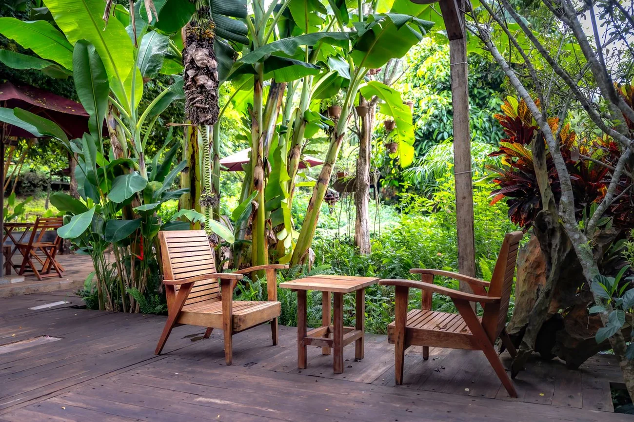 Referência ilustrativa de uma mesa e poltronas azuis entre plantas tropicais